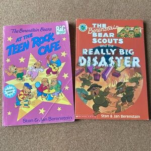 Berenstain Bears book bundle